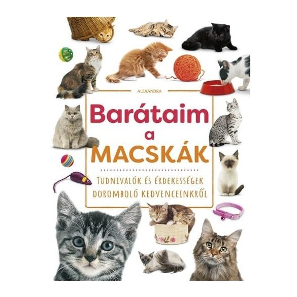 Barátaim, a macskák