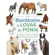 Barátaim, a lovak és pónik