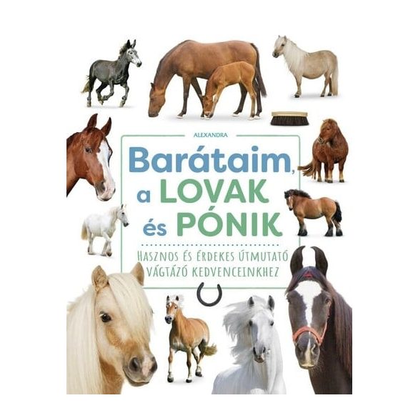 Barátaim, a lovak és pónik