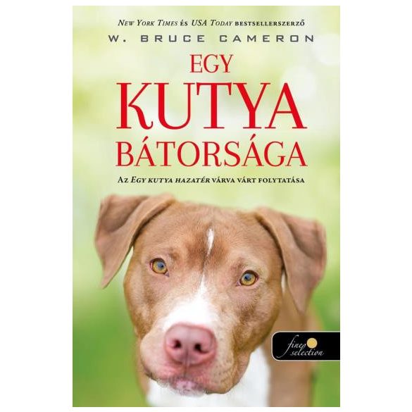 Egy kutya bátorsága (Egy kutya hazatér 2.)