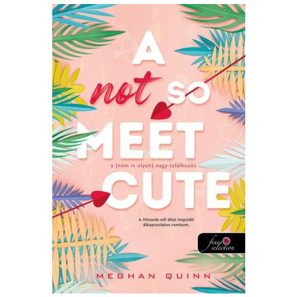 A Not So Meet Cute - A (nem is olyan) nagy találkozás (Cane Fivérek 1.)