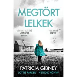 Megtört lelkek – Lottie Parker 7.