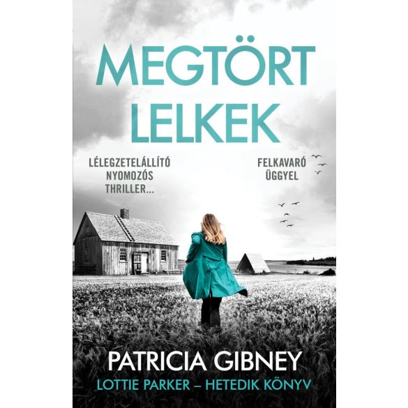 Megtört lelkek – Lottie Parker 7.