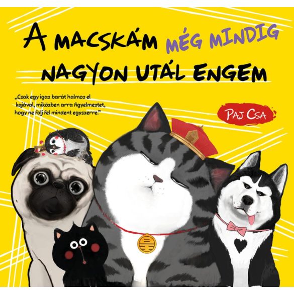 A macskám még mindig nagyon utál engem (Macska és Kutya 3.)
