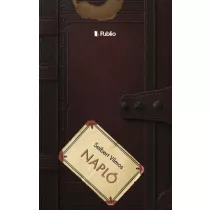 Napló