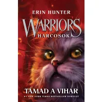 Warriors - Harcosok 4. - Támad a vihar