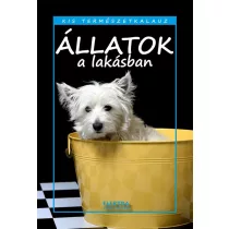Állatok a lakásban