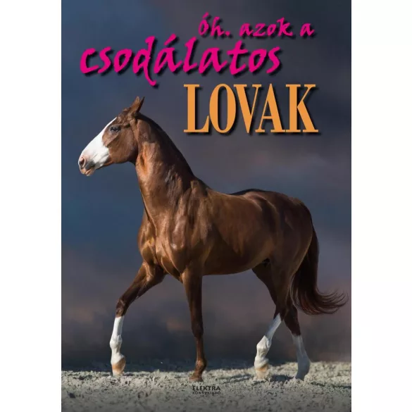 Óh, azok a csodálatos lovak