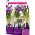 Kedvelt szobanövények