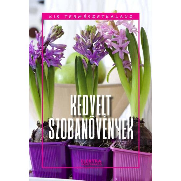 Kedvelt szobanövények