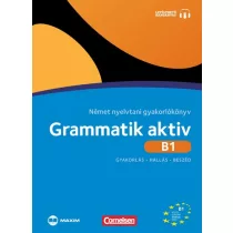 Grammatik aktiv B1