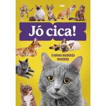 Jó cica!