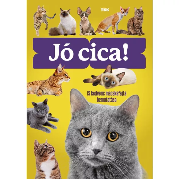 Jó cica!