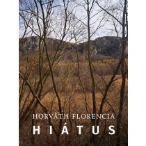 Hiátus