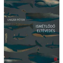 Ismétlődő eltévedés