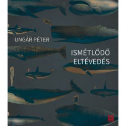 Ismétlődő eltévedés