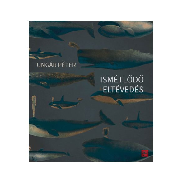 Ismétlődő eltévedés