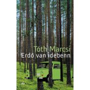 Erdő van idebenn