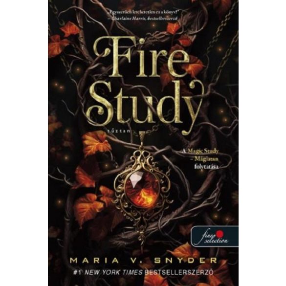 Fire Study - Tűztan (Study 3.)