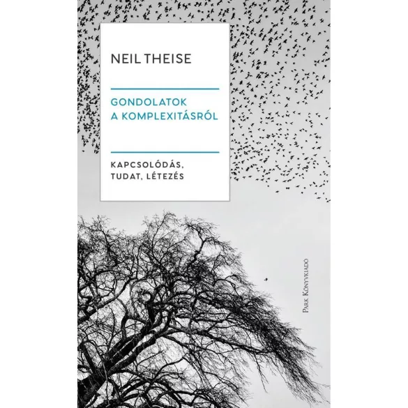 Gondolatok a komplexitásról