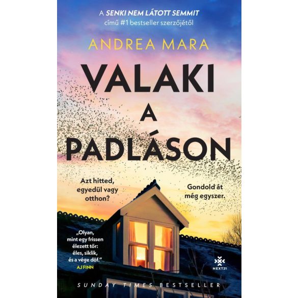 Valaki a padláson
