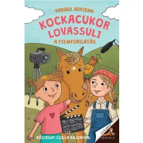Kockacukor lovassuli - A filmforgatás