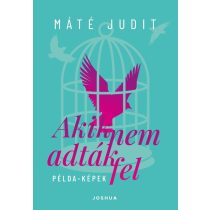 Akik nem adták fel - Példa-képek