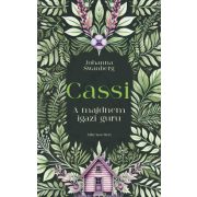 Cassi - A majdnem igazi guru