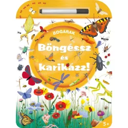 Böngéssz és karikázz! - Bogarak