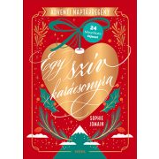 Egy szív karácsonyra - Adventi naptárregény