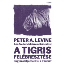 A tigris felébresztése