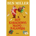 Egy karácsonyi manó kalandjai