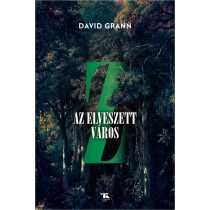 Z, az elveszett város