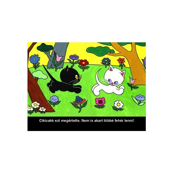 Cikicakk, a fekete cica - Diafilm