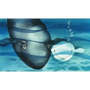 Jegesvízi Bálna Bálint - Diafilm