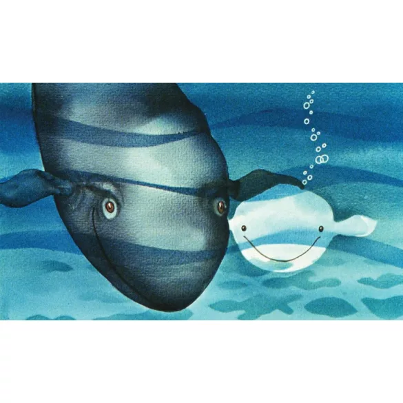 Jegesvízi Bálna Bálint - Diafilm