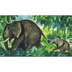 Jumbó, egy kis elefánt kalandjai - Diafilm