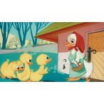 A falánk kis kacsa - Diafilm