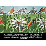 A nagyravágyó feketerigó - Diafilm