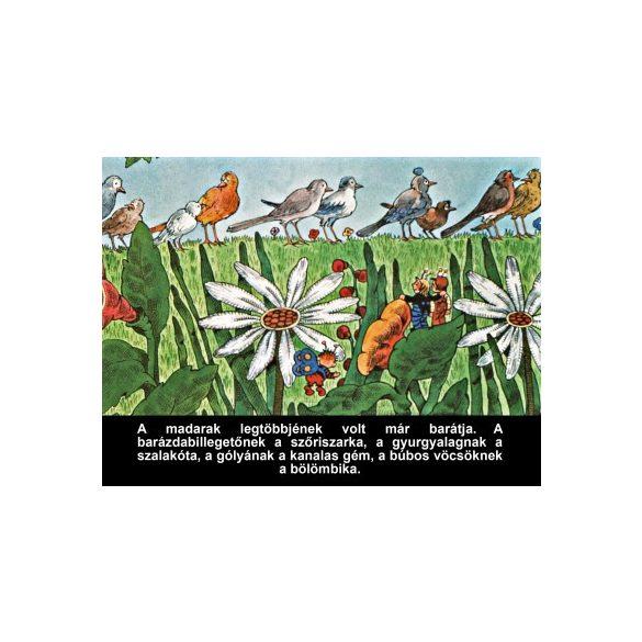 A nagyravágyó feketerigó - Diafilm