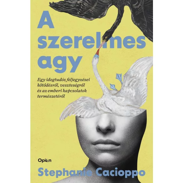A szerelmes agy