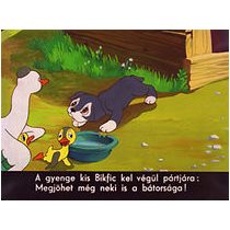 Kutyakötelesség - Diafilm