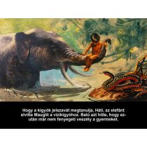 Maugli, a farkasok fia - Diafilm