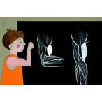 Testünk felépítése - Diafilm