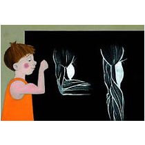 Testünk felépítése - Diafilm