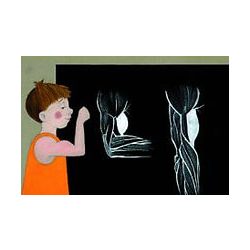 Testünk felépítése - Diafilm