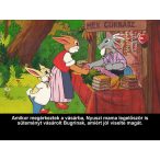 Torkos Nyuszi - Diafilm