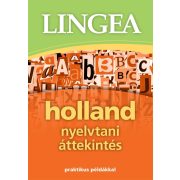 Holland nyelvtani áttekintés
