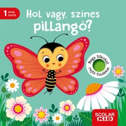 Hol vagy, színes pillangó?