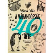 A várandósság 40 hete